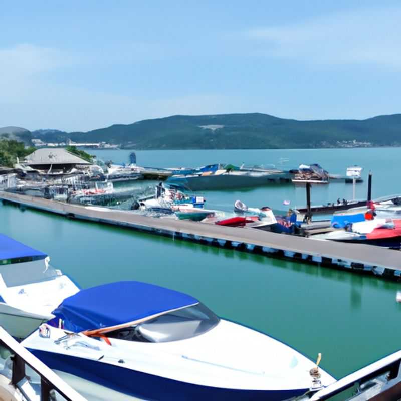 Marine Grease for Smooth Sailing: A Lubricant's Journey Through the RC Boat World